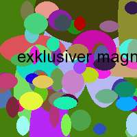 exklusiver magnet schmuck