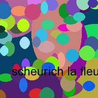 scheurich la fleur wallduern